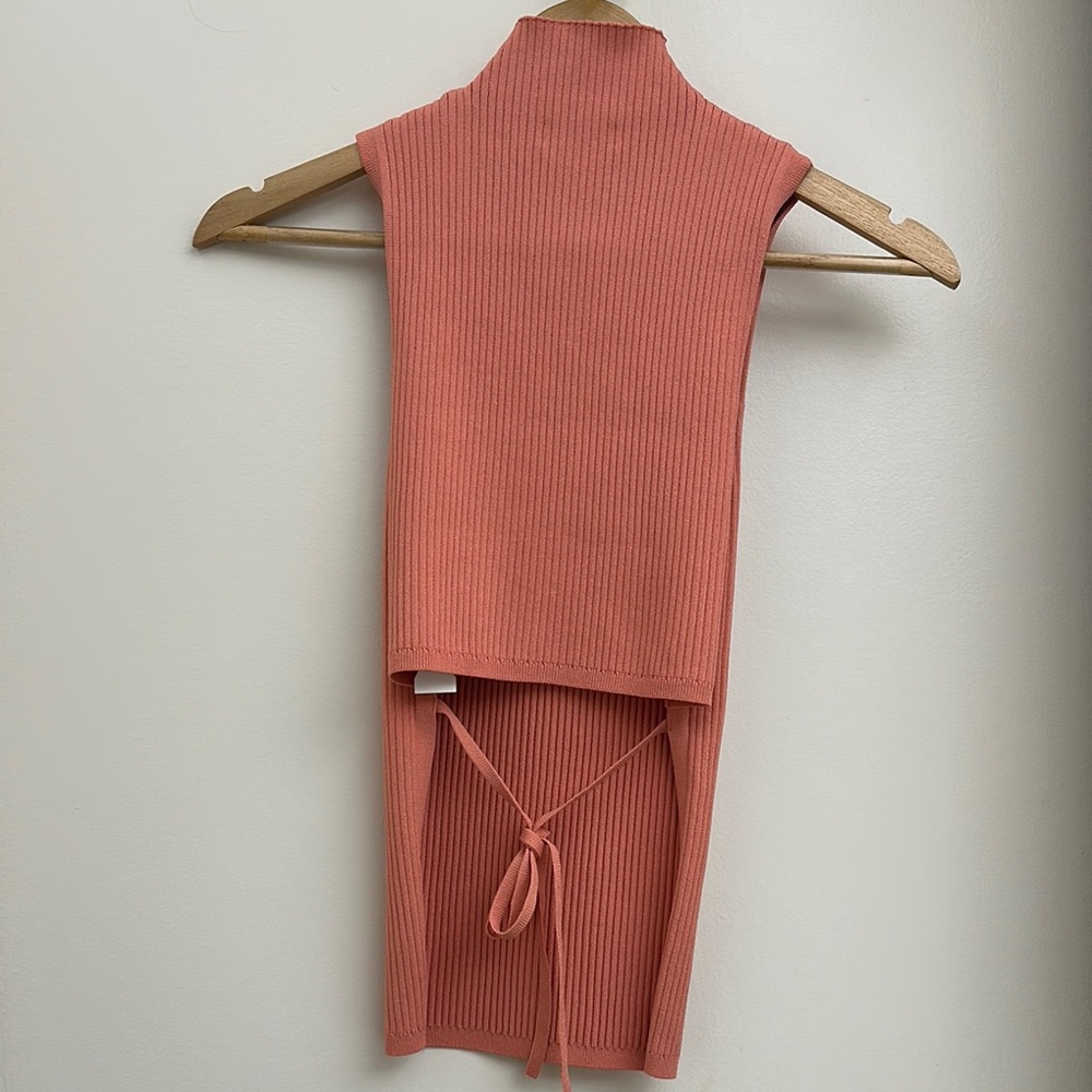 Aritzia Babaton Coral Ribbed High Neck Tank